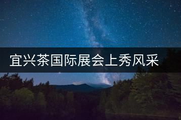 宜興茶國際展會上秀風采宜興茶國際展會上秀風采