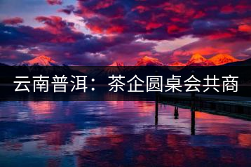 云南普洱：茶企圓桌會(huì)共商“現(xiàn)在·未來(lái)