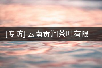 [專(zhuān)訪] 云南貢潤(rùn)茶葉有限公司董事長(zhǎng)張光輝