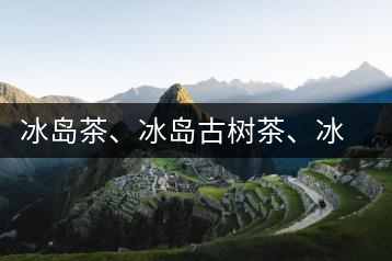 冰島茶、冰島古樹茶、冰島茶區(qū)茶、冰島茶區(qū)古樹茶