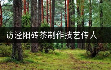 訪涇陽磚茶制作技藝傳人、陜西省非遺傳承人賈根社
