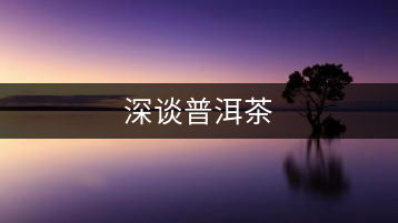 深談普洱茶