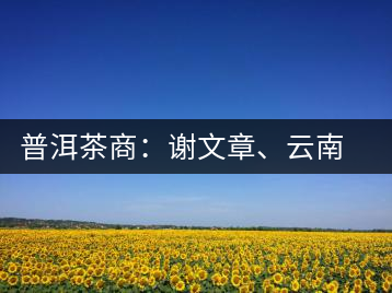 普洱茶商：謝文章、云南谷申商貿(mào)有限公司總經(jīng)理
