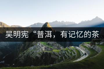 吳明憲“普洱,有記憶的茶品”