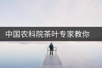 中國農(nóng)科院茶葉專家教你健康喝茶