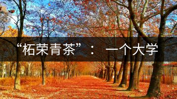 “柘榮青茶”： 一個(gè)大學(xué)生的創(chuàng)業(yè)夢(mèng)想