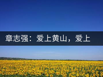 章志強(qiáng)：愛上黃山，愛上黃山的茶