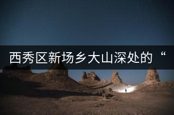 西秀區(qū)新場(chǎng)鄉(xiāng)大山深處的“茶山人家”