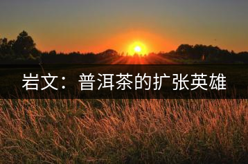 巖文：普洱茶的擴(kuò)張英雄