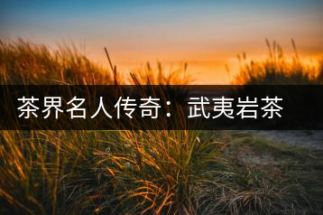 茶界名人傳奇:武夷巖茶泰斗姚月明