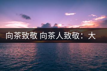 向茶致敬 向茶人致敬：大益集團(tuán)吳遠(yuǎn)之先生