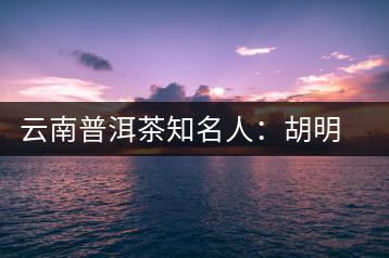 云南普洱茶知名人:胡明方