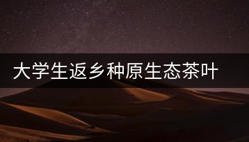 大學(xué)生返鄉(xiāng)種原生態(tài)茶葉 網(wǎng)上銷售獲好評
