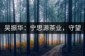 吳振華：寧思源茶業(yè)，守望家鄉(xiāng) 做好“金獎茶王”