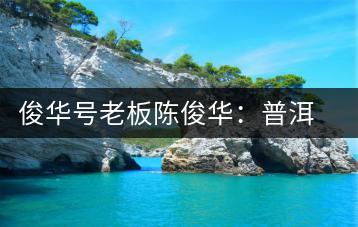 俊華號老板陳俊華：普洱茶人做茶有道