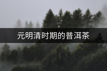 元明清時期的普洱茶