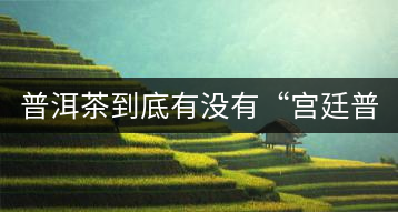 普洱茶到底有沒有“宮廷普洱”一說？它到底是什么？