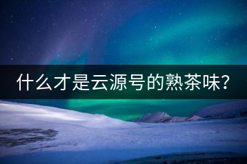 什么才是云源號的熟茶味？