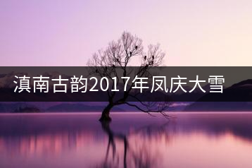 滇南古韻2017年鳳慶大雪山開湯品鑒