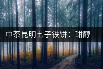 中茶昆明七子鐵餅：甜醇甘潤，陳韻綿長