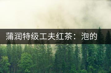 蒲潤(rùn)特級(jí)工夫紅茶：泡的方便，喝的舒適