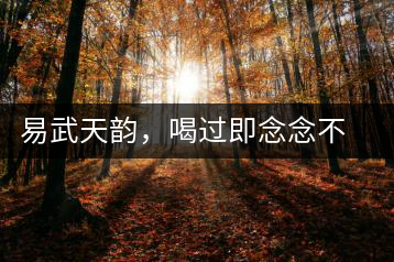 易武天韻，喝過(guò)即念念不忘的茶中皇后