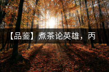 【品鑒】煮茶論英雄，丙申年易武麻黑