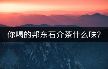 你喝的邦東石介茶什么味？