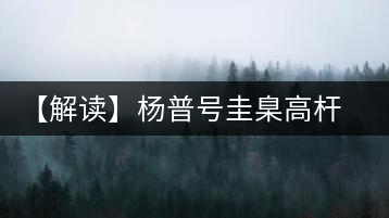 【解讀】楊普號(hào)圭臬高桿茶：形高、氣足、韻遠(yuǎn)的一款茶