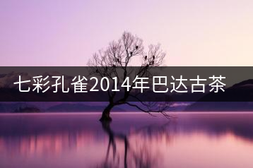 七彩孔雀2014年巴達古茶山開湯品鑒