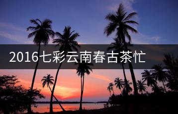 2016七彩云南春古茶忙肺開湯——?jiǎng)側(cè)岵?jì)的謙謙君子