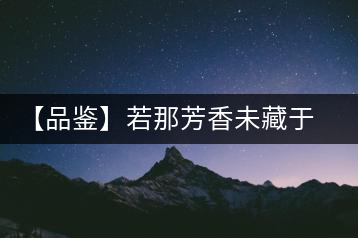 【品鑒】若那芳香未藏于樟野，怎會這般獨具韻味？
