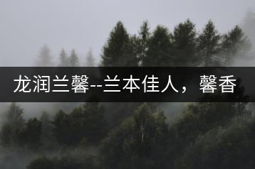 龍潤(rùn)蘭馨–蘭本佳人，馨香高雅