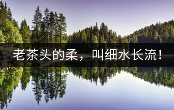老茶頭的柔，叫細水長流！