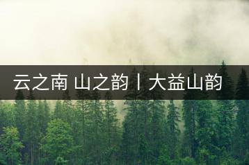 云之南 山之韻丨大益山韻，“韻”味傳奇之山韻歸來