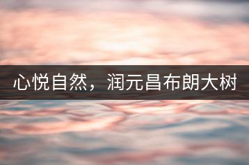 心悅自然，潤(rùn)元昌布朗大樹(shù)標(biāo)桿601千山悅即將上市