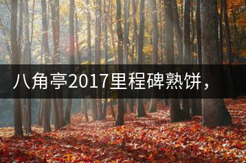 八角亭2017里程碑熟餅，自先發(fā)酵而后愛(ài)人