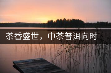 茶香盛世，中茶普洱向時(shí)代獻(xiàn)禮