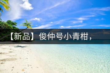 【新品】俊仲號(hào)小青柑，青果來傾城