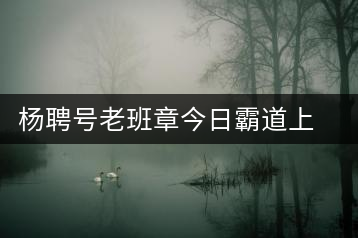 楊聘號老班章今日霸道上市