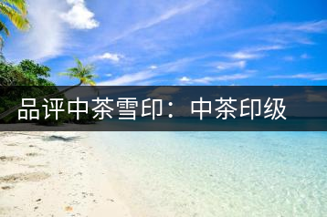 品評中茶雪印：中茶印級茶的經典傳承
