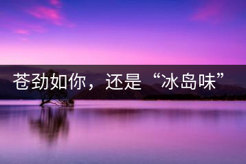 蒼勁如你，還是“冰島味”嗎？