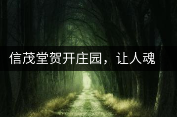 信茂堂賀開(kāi)莊園，讓人魂?duì)繅?mèng)繞的名山古樹(shù)茶