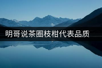 明哥說茶圈枝柑代表品質高點，是玩家級的產品