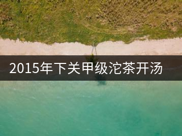 2015年下關(guān)甲級(jí)沱茶開(kāi)湯品鑒