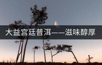 大益宮廷普洱——滋味醇厚，陳香濃郁