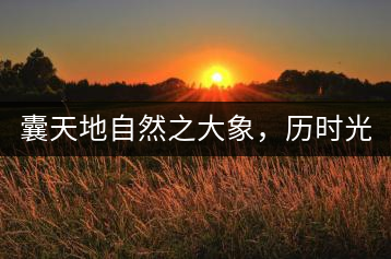 囊天地自然之大象，歷時(shí)光十載流轉(zhuǎn)-皇茶一號(hào)