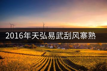 2016年天弘易武刮風(fēng)寨熟茶一泡耐人尋味！