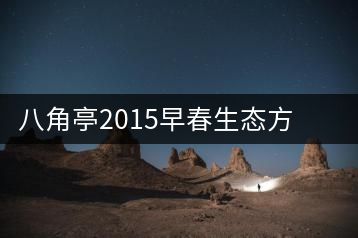 八角亭2015早春生態(tài)方磚正式上市茶界大神如何評價