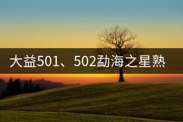 大益501、502勐海之星熟茶